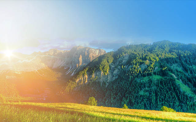 淄博華星助劑有限公司